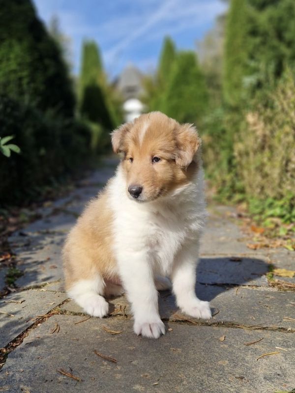 copper14.10.24
