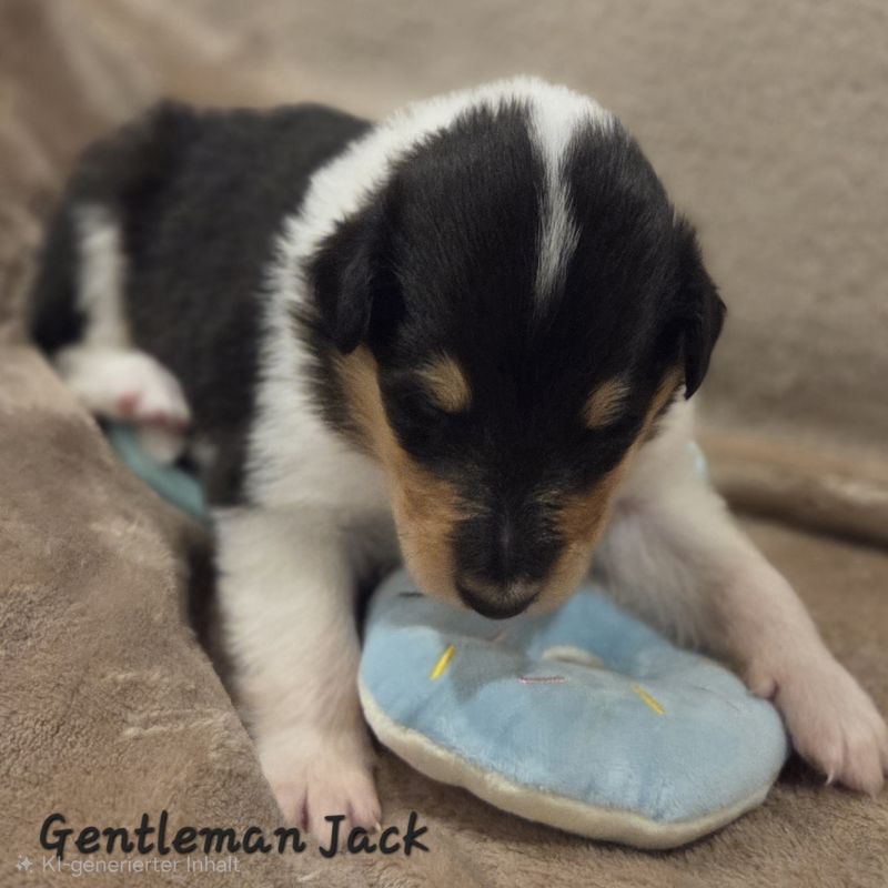 Gentleman Jack 2025 11 24 19 28