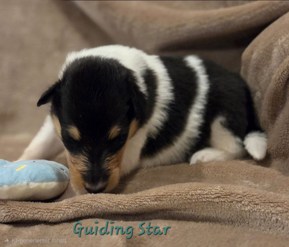 Guiding Star 2025 11 24 14 26