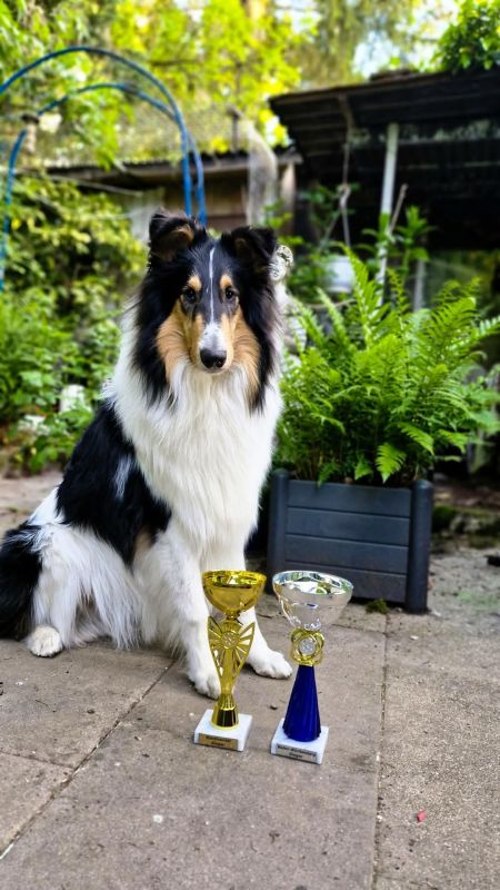 Balou Ausstellung 2